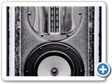 expolinear speakers - nearfield_2
