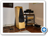 avalon + cat + forsell