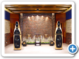 AVALON SENTINEL NEW + POWER AMP