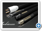 MAPLE AUDIO ambiance_2