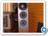DYNAUDIO C-5 RIGHT LOW REZ