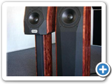 peak consult in cognito x in rosewood