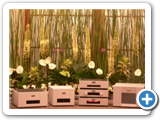 TAIPEI HIGH END WILSON AUDIO + GOLDMUND 2005 (6)